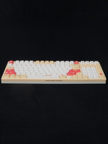 GATERON Co-branded IG 98 Mechanical Keyboard