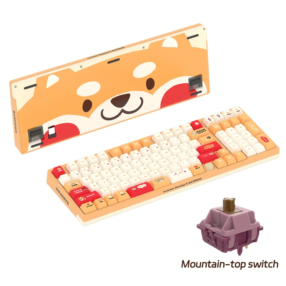 Gateron Co-branded iG 98 Mechanical Keyboard