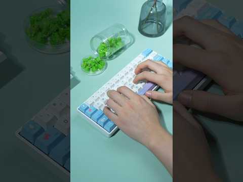 Gateron Magnetic Green Dragon Switch Set