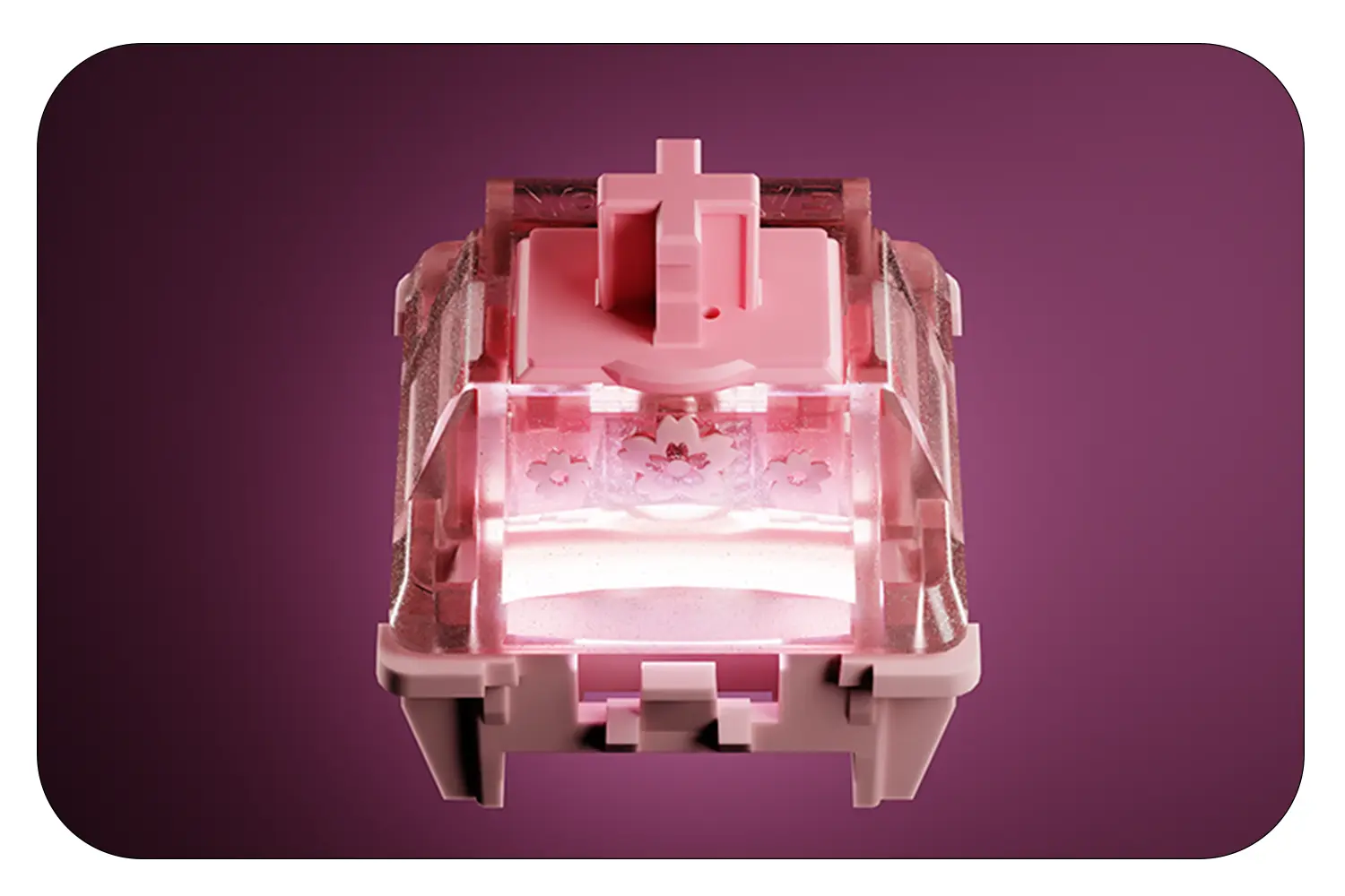 Gateron-Magnetic-Jade-Sakura-