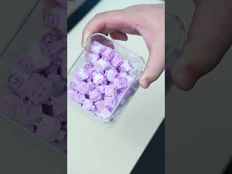 Gateron Magnetic Orchid Switch Set