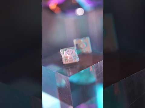 GATERON Low Profile Magnetic Jade HE Switch Set