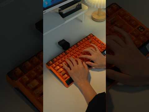 Gateron × SIkakeyB Fn75 He Magnetic Switch Custom Gaming Keyboard