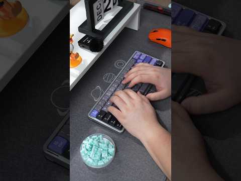 Full POM Magnetic Switches - Low Profile & HIFI Sound | GATERON
