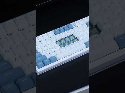 GATERON CM Linear Switches Set