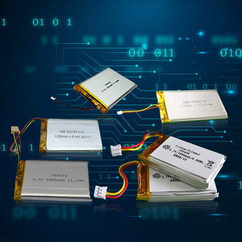 Lithium-Polymer-Akku