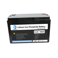 12V 100Ah Lithium Iron Phosphate Battery with Bluetooth