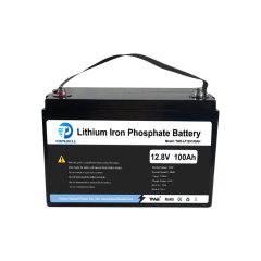 12V 100Ah Lithium Iron Phosphate Battery with Bluetooth