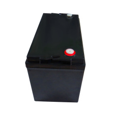 12V 100Ah Lithium Iron Phosphate Battery with Bluetooth