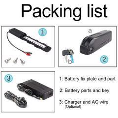 Hailong Downtube E-Bike Battery 36V 48V Lithium-Ion Battery 10.4Ah 13Ah 14.5Ah 16Ah 17.5Ah for Electric Bicycles