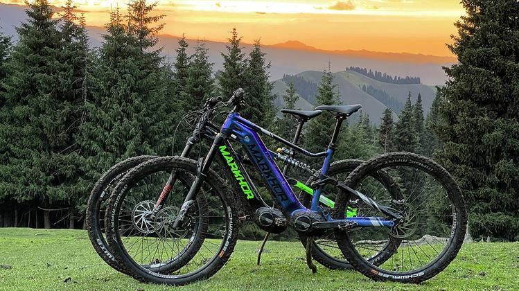 ELECTRIC MOUNTAIN BIKES