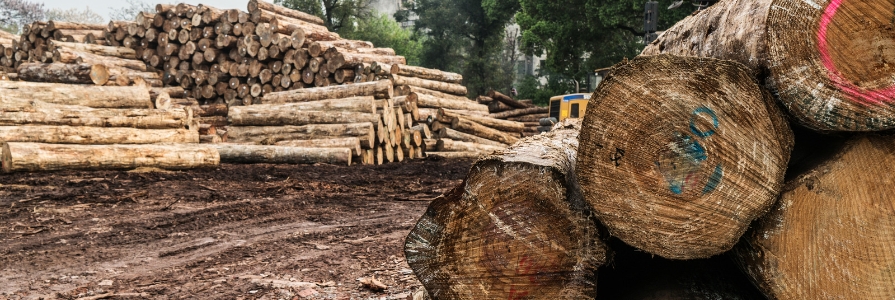 Forest Industry