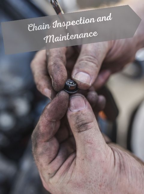 Chain Inspection and Maintenance