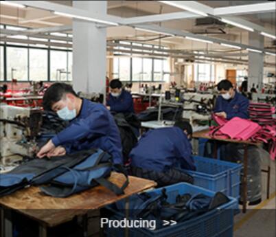 Professional production line