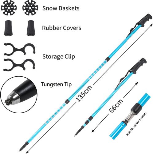 Light Weight Snowshoes with Poles