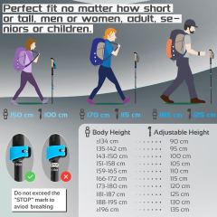 Collapsible and Telescopic Walking Sticks