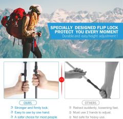 Aluminum Hiking Walking Sticks