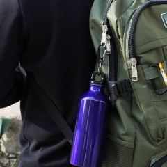 Small Carabiner Keychain Clip