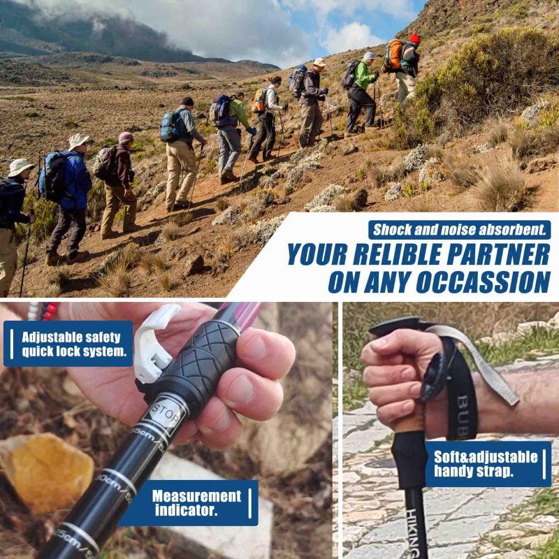 Collapsible Strong Aluminum Walking Sticks