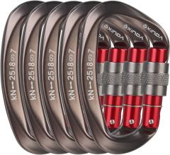 Screwgate Locking Carabiner Clip