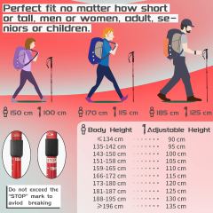 Walking Trekking Poles