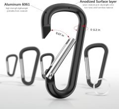 Small Carabiner Clip Keychain