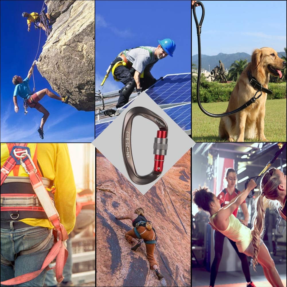 Screwgate Locking Carabiner Clip
