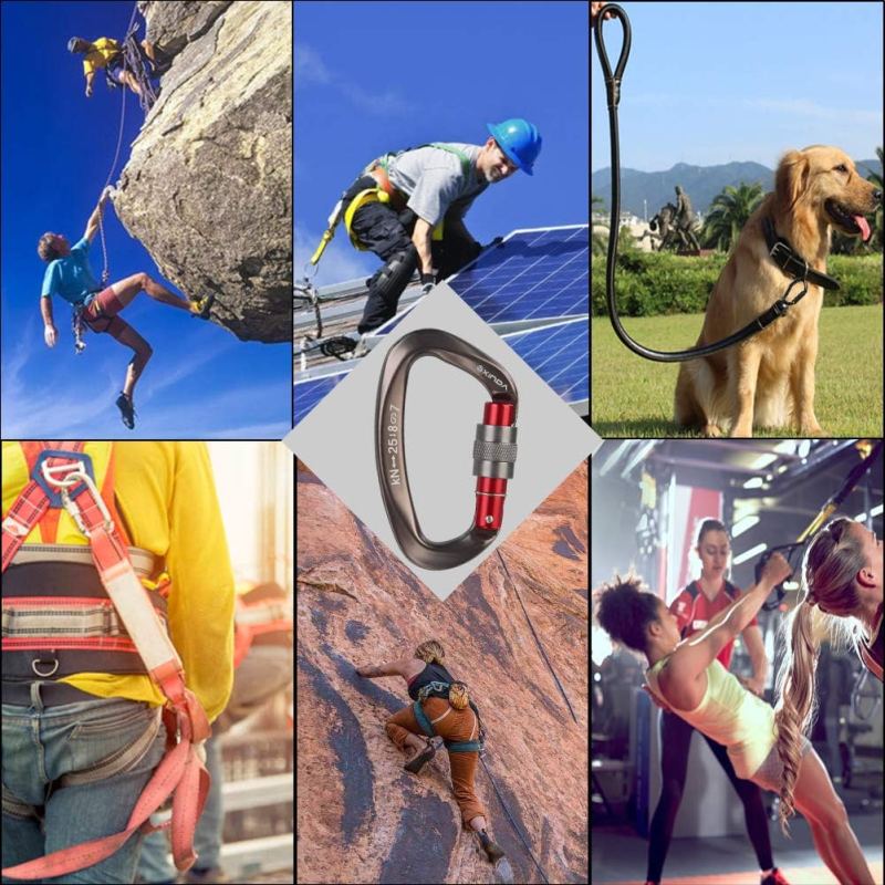 Screwgate Locking Carabiner Clip