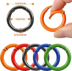 Small Carabiner Keychain Clip