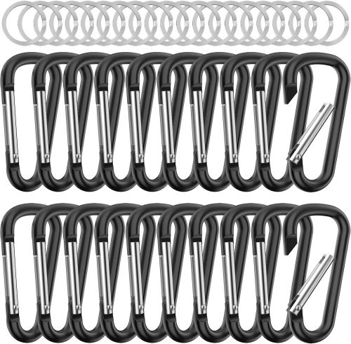 Small Carabiner Clip Keychain