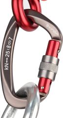 Screwgate Locking Carabiner Clip