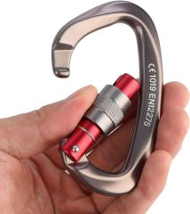 Screwgate Locking Carabiner Clip