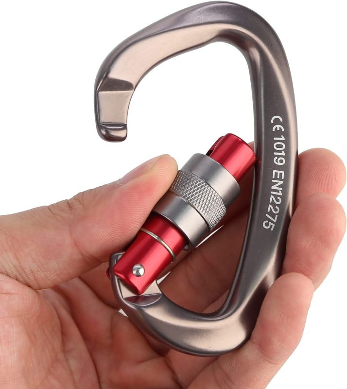 Screwgate Locking Carabiner Clip
