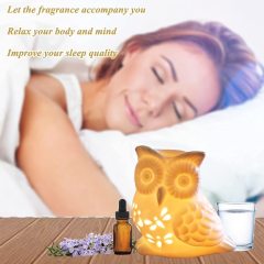 White Owl Ceramic Wax Warmer