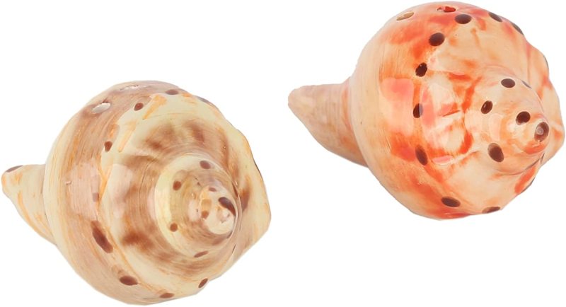 Conch Shell Salt and Pepper Shaker