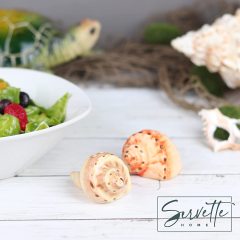 Conch Shell Salt and Pepper Shaker
