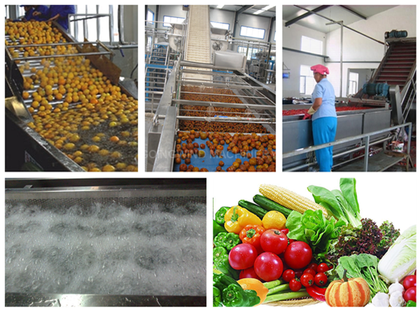 Automatic fruit and vegetable washing machine industrial fruits vegetables air bubble washer