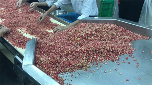 Wholesale Pomegranate Peeler Peeling Seeding Seed Removing Machine - China Pomegranate  Peeler, Pomegranate Peeling Machine