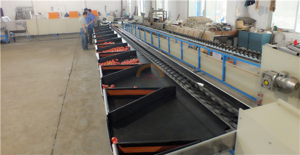 Automatic fruit washing waxing drying and grading machine apple orange ...