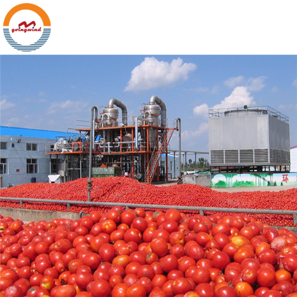 Automatic tomato paste ketchup production line small concentrated tomato sauce puree making machine processing plant equipment