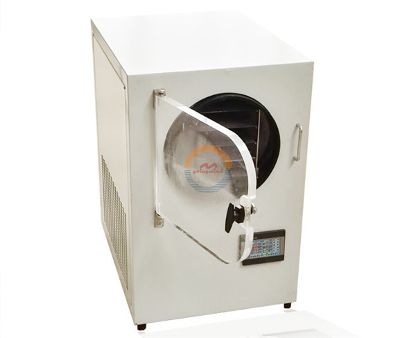 Mini Home Use Vacuum Freeze Dryer Small