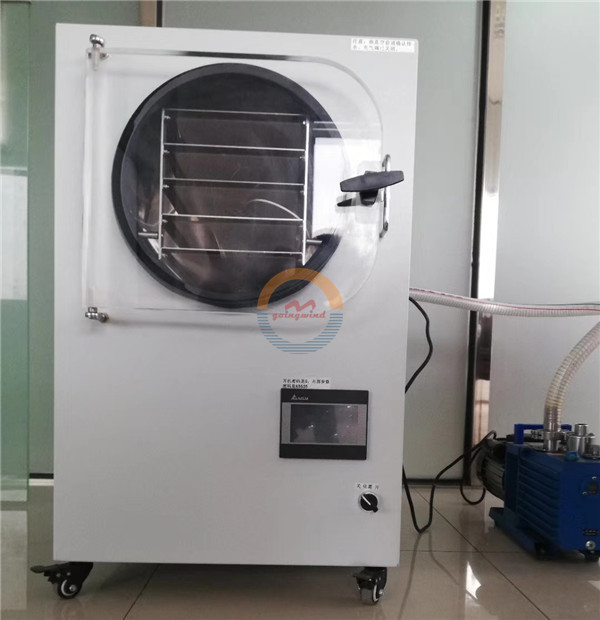 Mini home use vacuum freeze dryer small scale lab food fruit vegetable