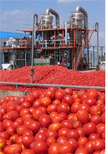 Fruit &amp; Vegetable Solutions