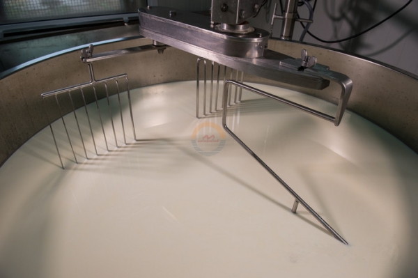 Good Price 200l 500l 1000l Cheese Vat 200 500 1000 Liters Cheese Making Machine for Sale