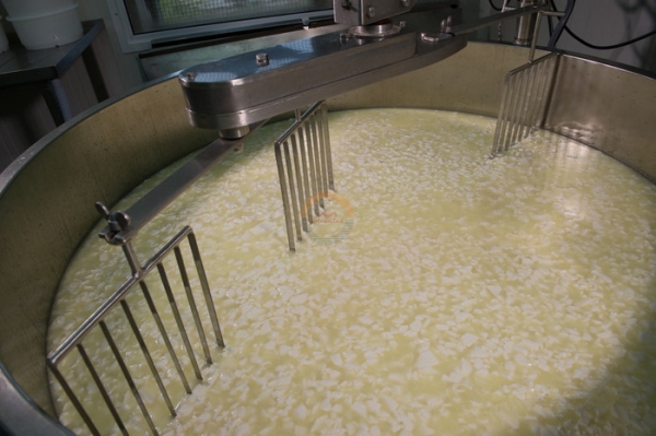 Good Price 200l 500l 1000l Cheese Vat 200 500 1000 Liters Cheese Making Machine for Sale