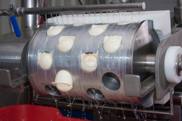 Mozzarella Cheese Making Machine Processing Line Dairy Pizza Cheese Production Plant Equipment Mozarella Mixer for Sale