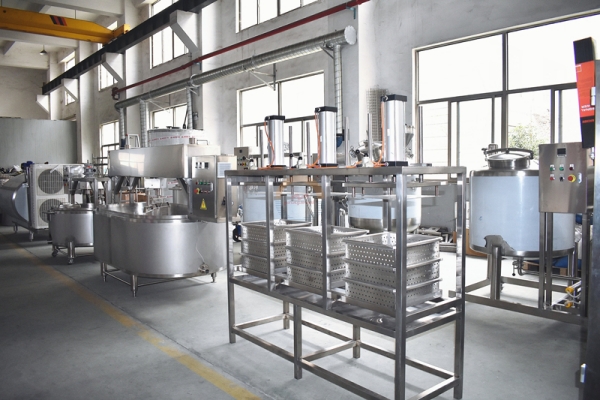 Good Price Industrial Cheese Making Production Equipment Automatic Dairy Cheese Processing Machinery for Sale