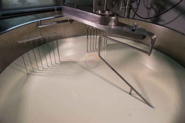 Good Price Cheese Mixing Machine Cheese Heating Fermentation tank Mixer Tanks for Sale