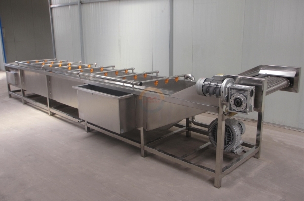 Good Price Automatic Citrus Washing Machine Auto Oranges Lemon Grapefruit Orange Fruit air Bubble Cleaning Line for Sale