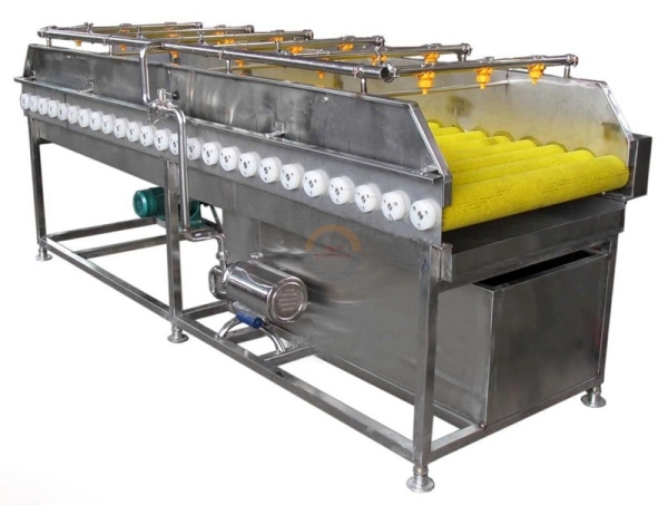 Good Price Automatic Fruit and Vegetable Brush Washing Machine Auto Industrial Fruits Vegetables Brush Washer for Sale